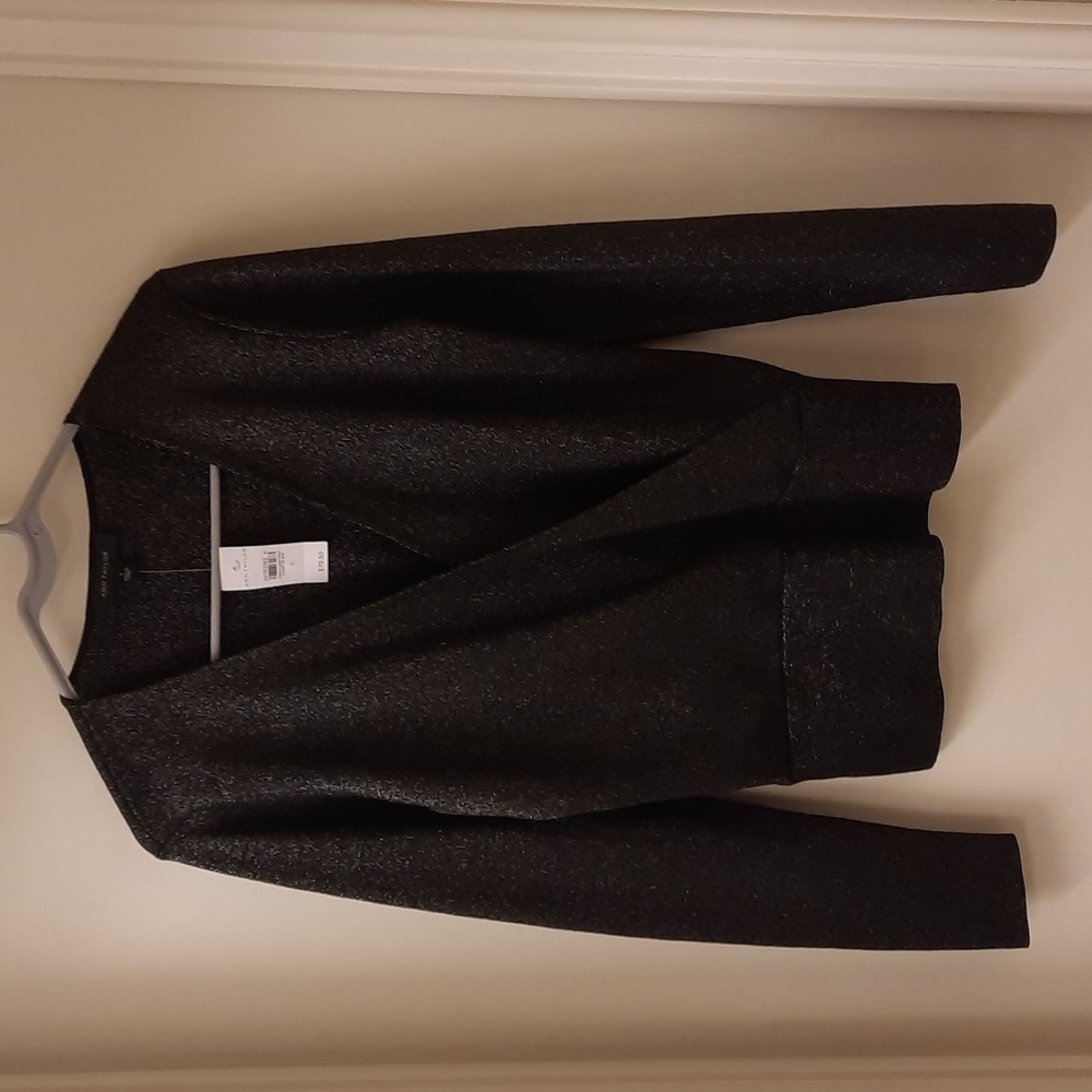 NWT, Ann Taylor Metallic Knit Sweater